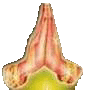 namaste